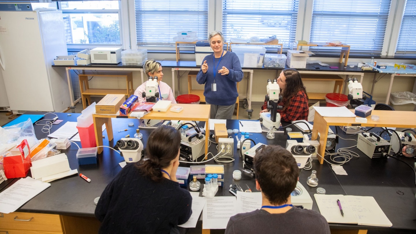 Professor of Neuroscience Anne Hart talks with first-year graduate students during last year’s NeuroPracticum. Photo by Nick Dentamaro/Brown University