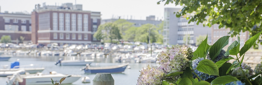 MBL Campus in background, flowers in foreground