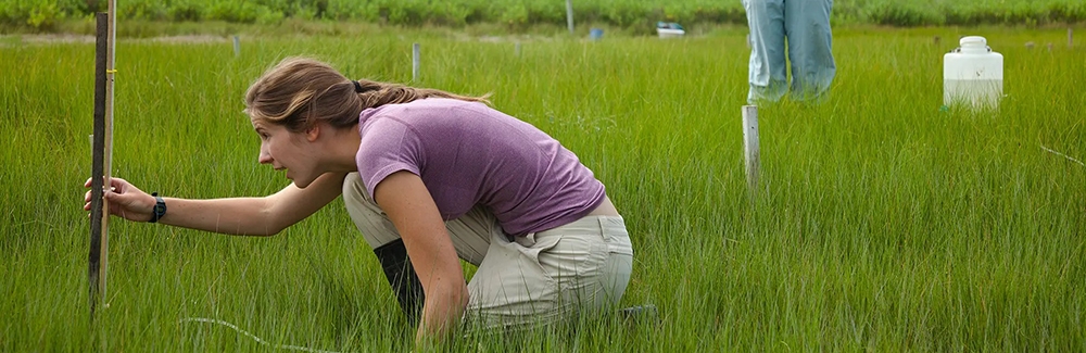 Students in field