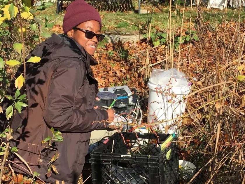 Briana Moore, an undergraduate student from the University of Chicago, samples one of the monitoring wells on Little Pond. Most of the well work was done by students working with Ken Foreman in either the MBL Semester in Environmental Science or the Partnership Education Program (PEP). Photo courtesy of Ken Foreman