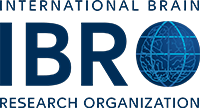 IBRO logo