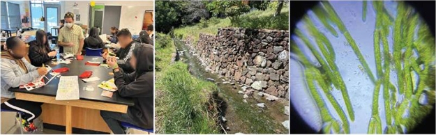 Fernando instructing microscopy assembly (left), and a stream with algae filaments (Strawberry Creek, UC Berkeley campus; center) used for microscopic visualization (right).