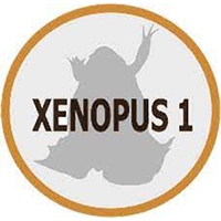 Xenopus 1 logo