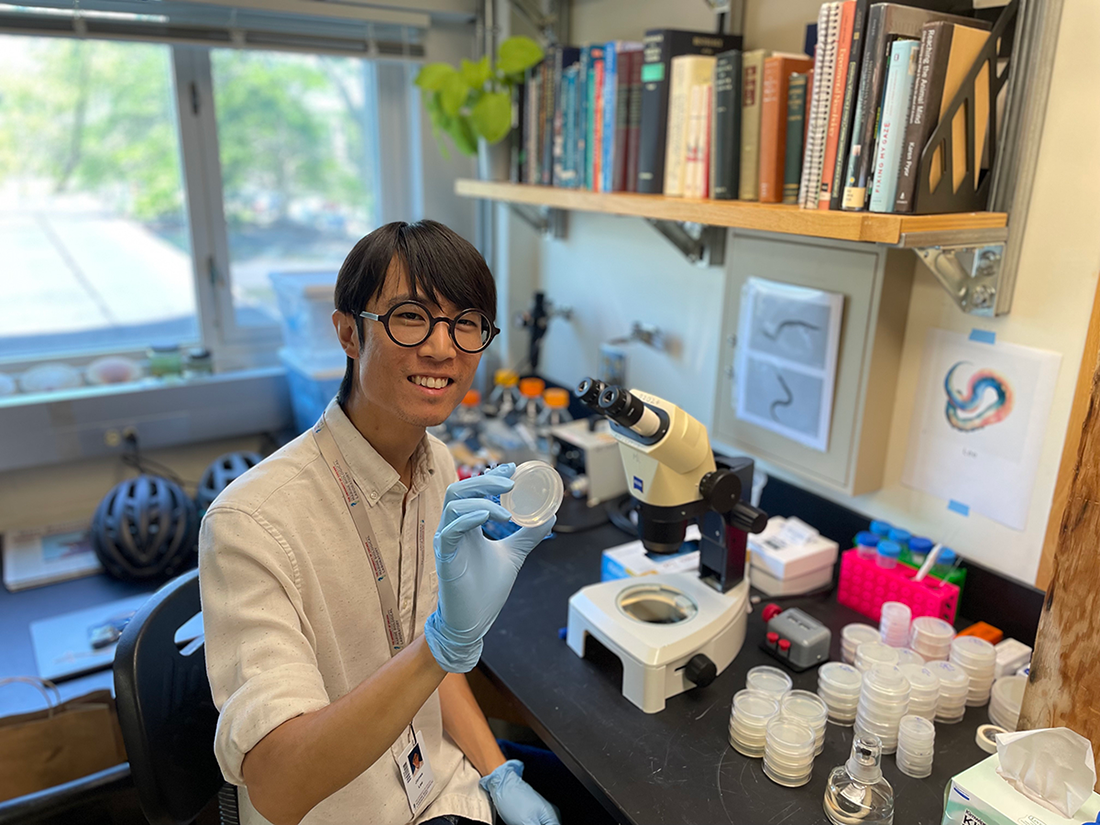 James Lee holds up a Petri dish containing T. tufae in his lab at the MBL Grass Lab. Credit: Kei Jokura