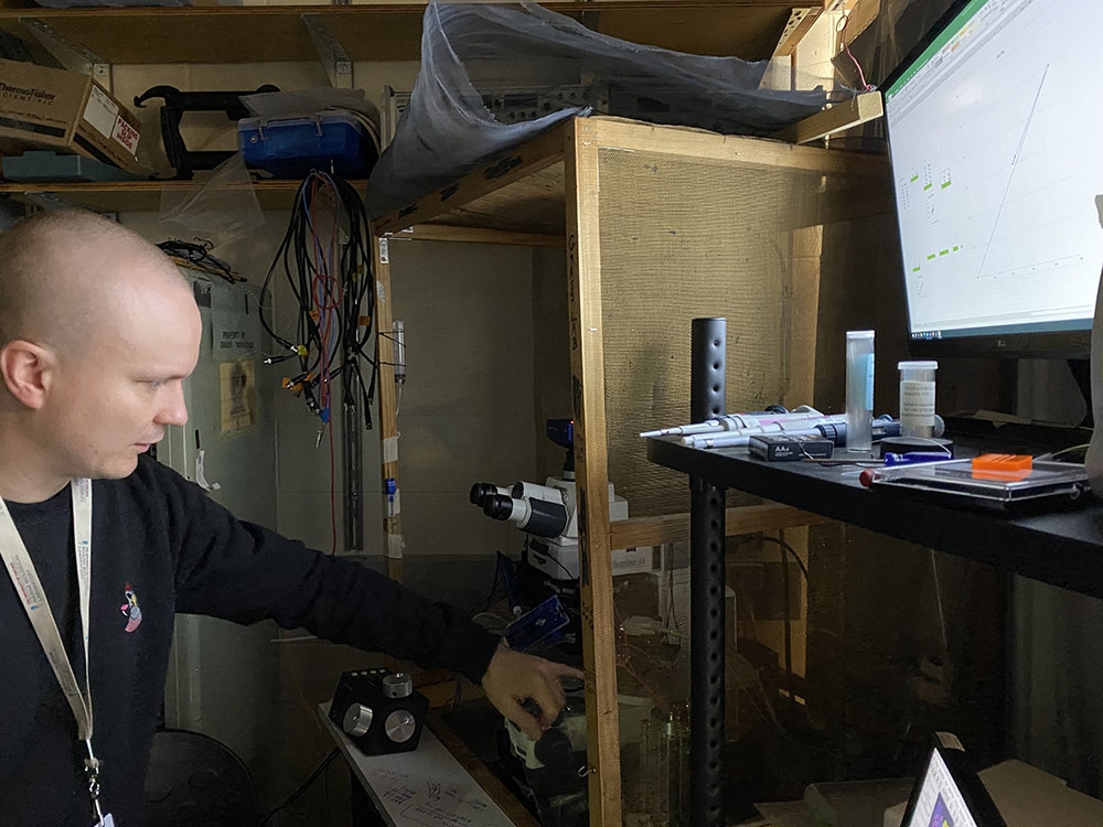 Tommi Anttonen adjusting the microscope he uses to study hair cell vesicles in zebra finch inner ears. Credit: William von Herff