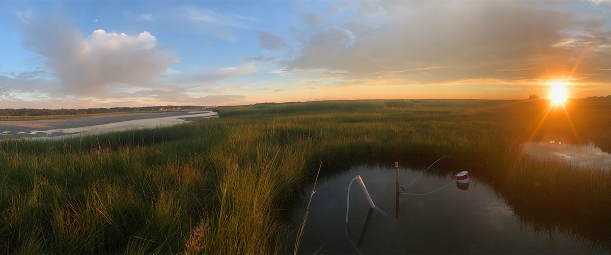 marsh sunset