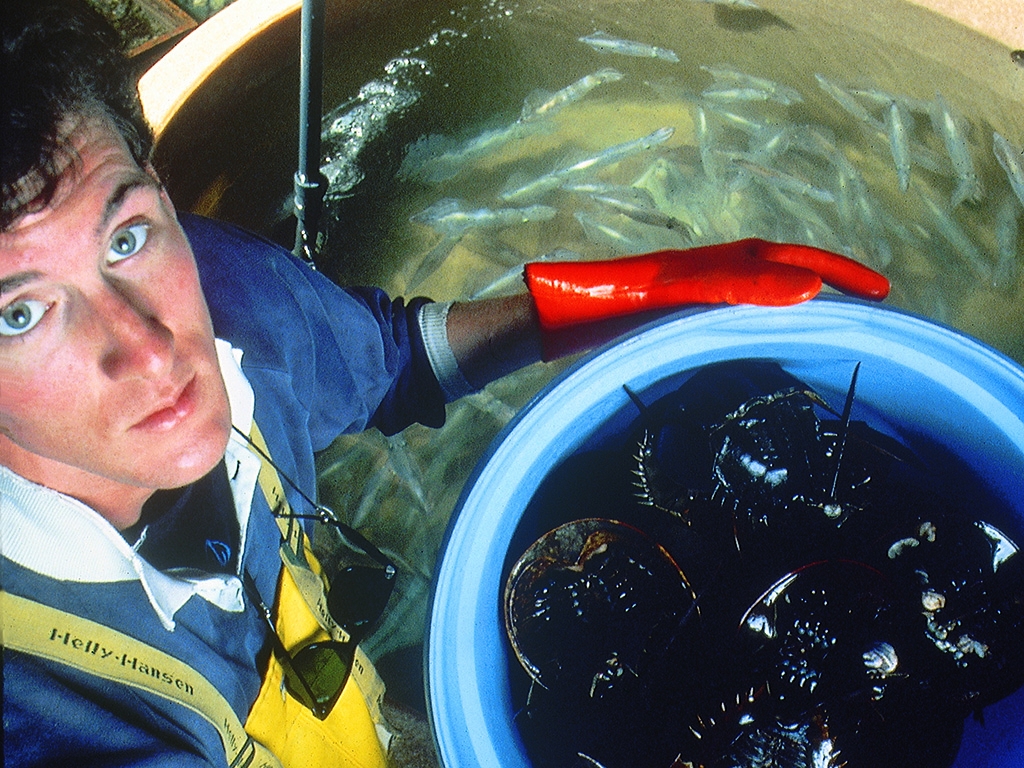 David Remsen in the MBL Supply Department (now Marine Resources Center) circa 1984-1985