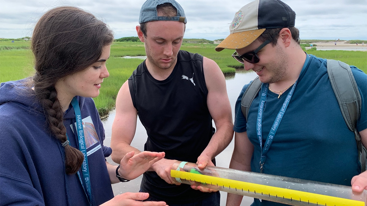 three scientists in marsh