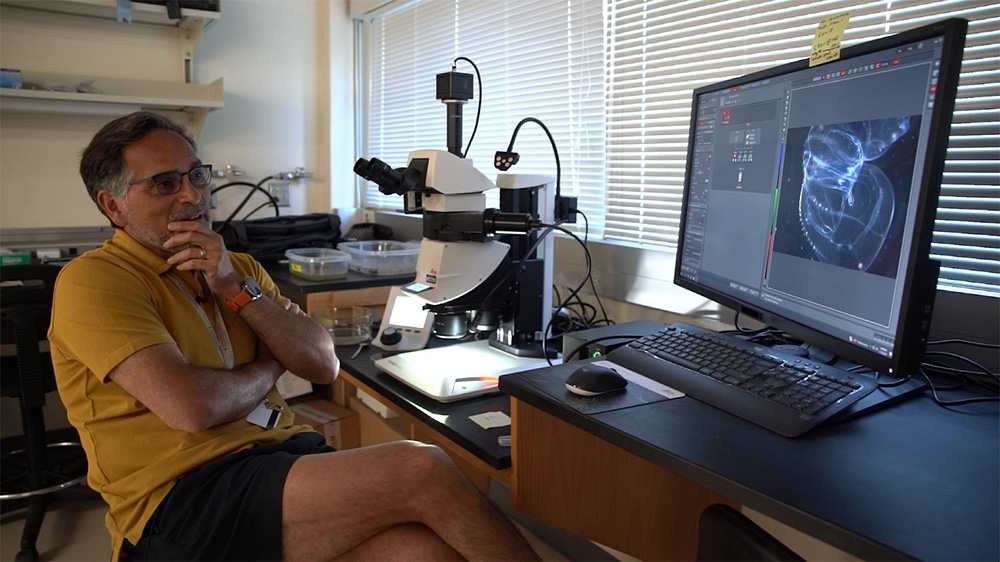 Alejandro Sánchez Alvarado, shown here in the Stowers Satellite Lab at MBL, has been affiliated with MBL for years as an alumnus and faculty member in the Embryology course and a visiting researcher. Credit: Stowers Institute