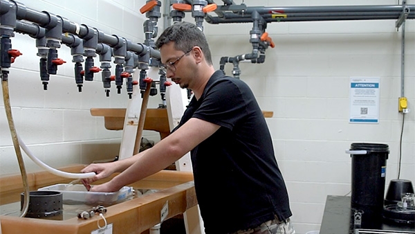 towers Institute Postdoctoral Research Associate Ivan Candido-Ferreira w