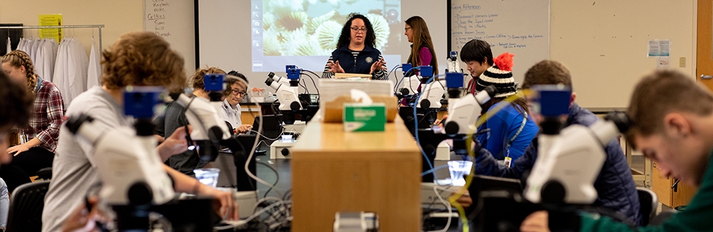 High School students image corals on microscopes in the lab.