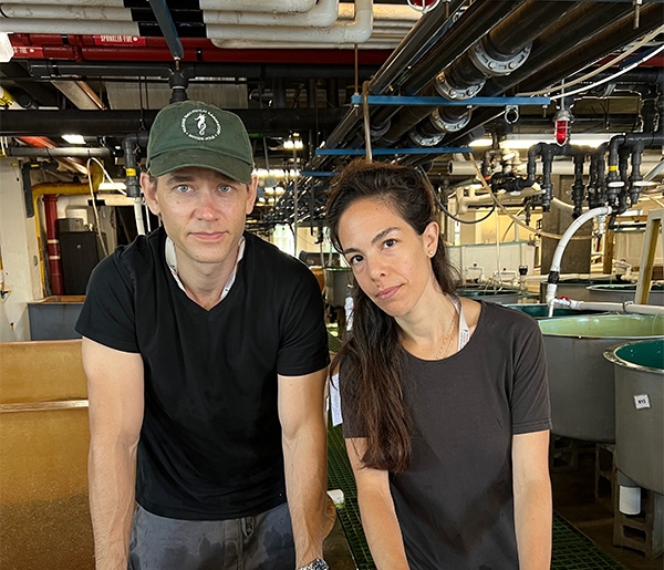 Their study found a very thin mucus layer on shark skin that is chemically different from that of bony fish. The shark mucus is less acidic, almost neutral, and turns out to be more chemically similar to some mammalian mucus, including some human mucus, than to bony fish mucus, she said. It's more evidence that “the molecular biology of sharks is unique,” Wikström said. “They're not just another fish swimming around. They have a unique biology, and there are probably lots of human biomedical applications