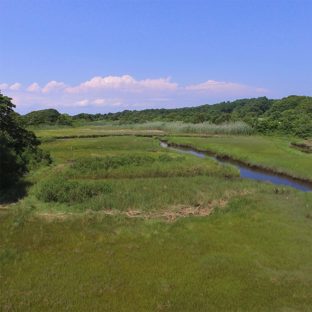 A drone shot of one of the extra-fertilized plots.