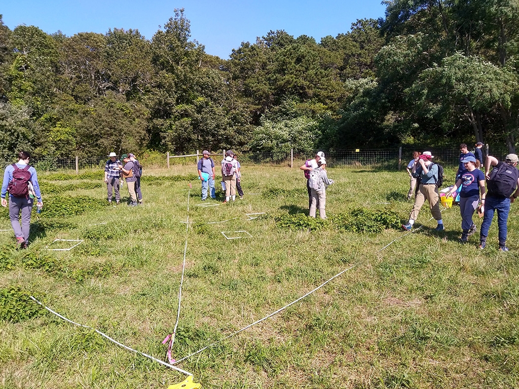 SES students in the field