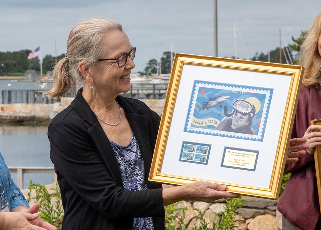 Anne Sylvester, MBL Director of Research, holds a framed print of the Eugenie Clark forever stamp, presented to her by the USPS.
