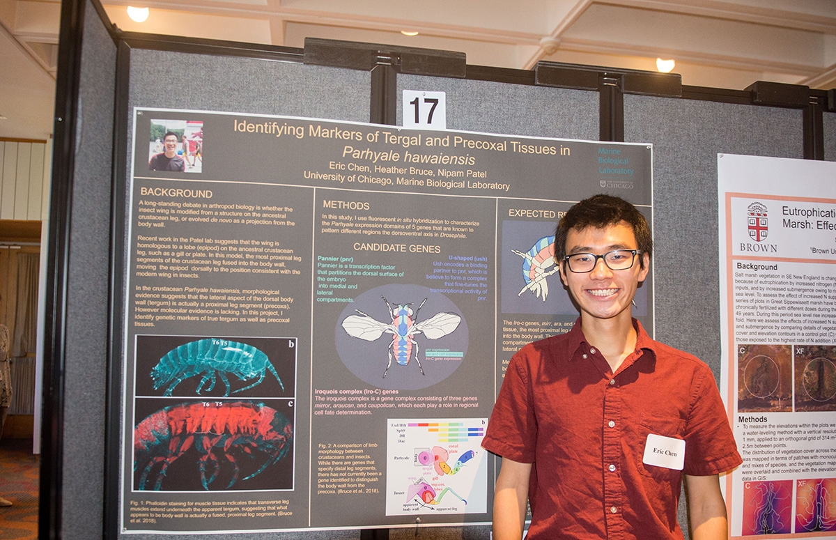 Eric Chen from the University of Chicago