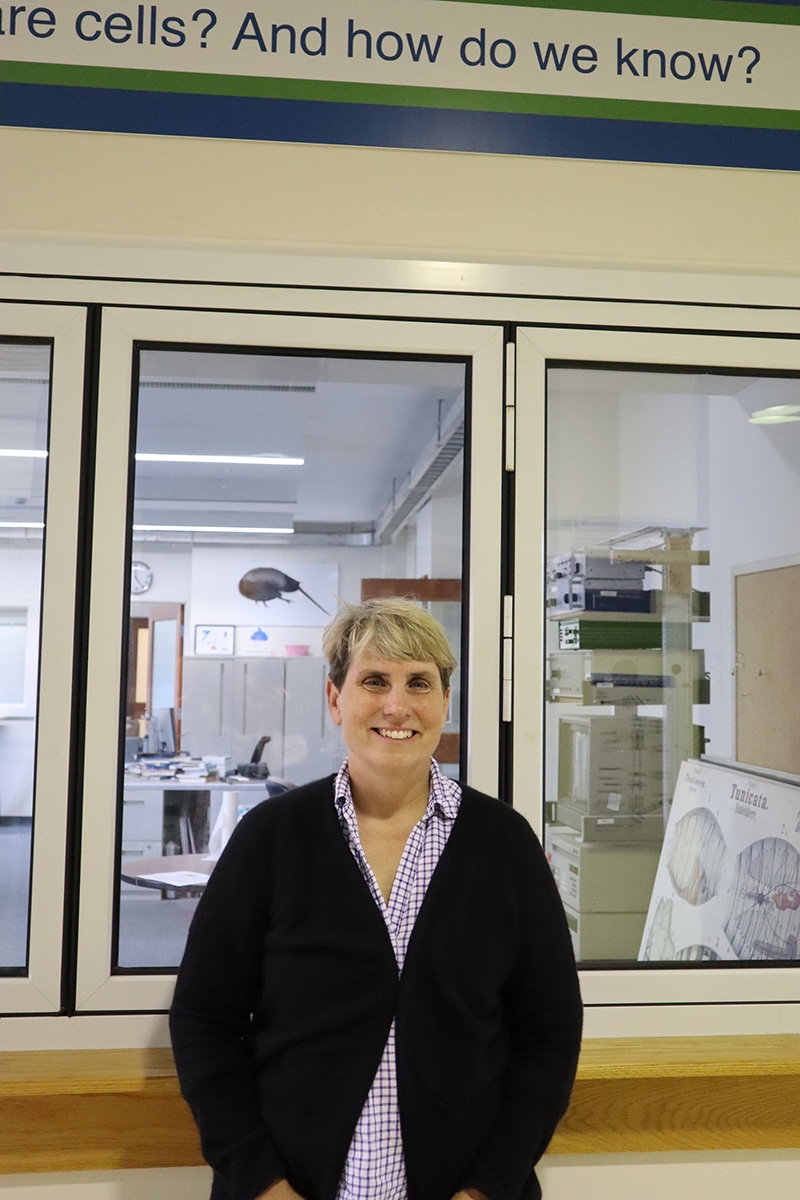 MBLWHOI Library Co-Director Jennifer Walton collaborated with Guerrero, Jane Maienschein, and Karl Matlin on the “Seeing Cells” and “Seeing Life” exhibits.