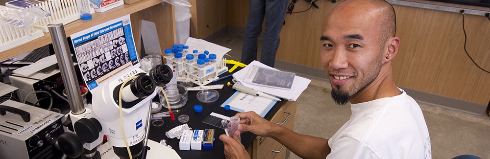 Student working at a microscope in the lab.