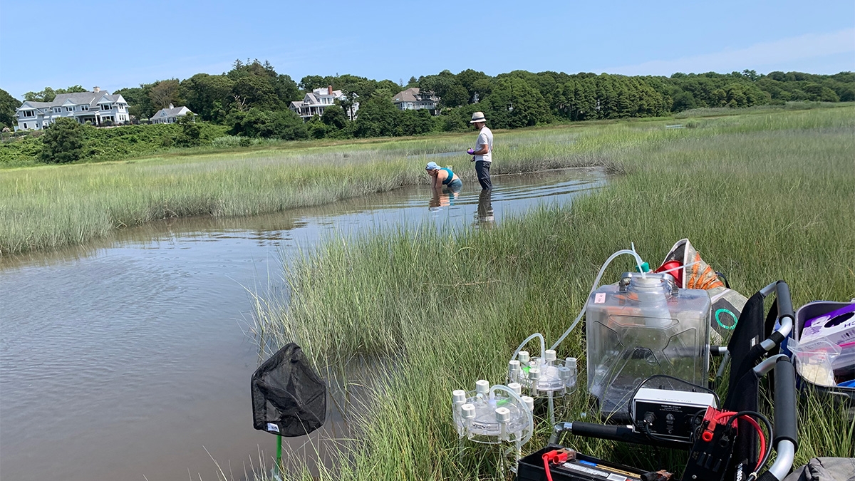 scientists in marsh