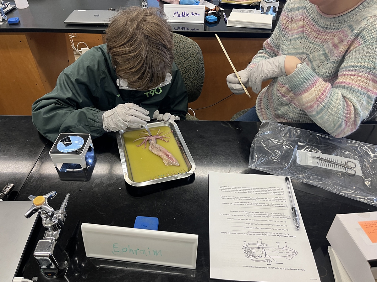 A student in Angelique Allen's lab