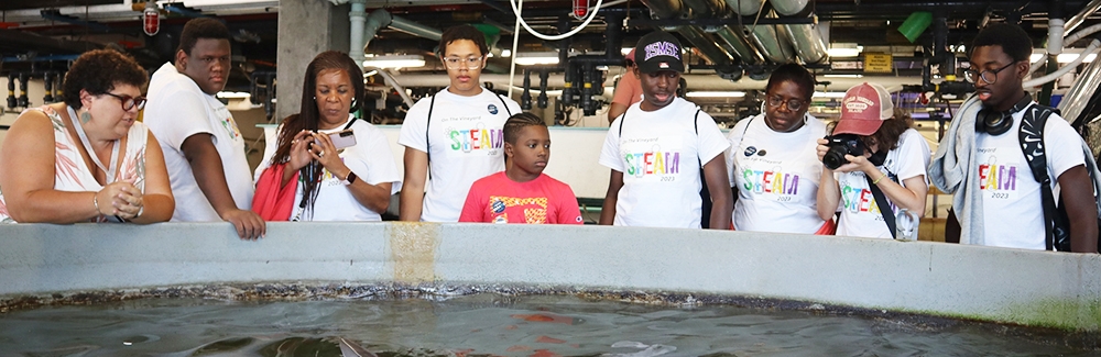 People in the Marine Resources Center looking in a tank