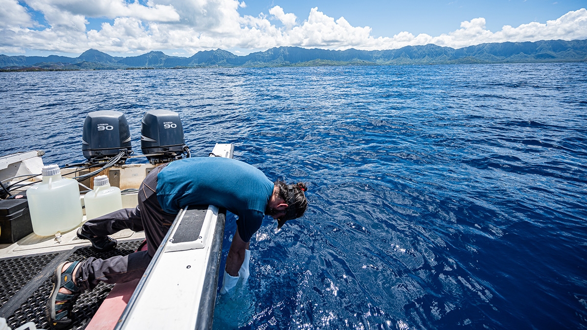 A. Murat Eren (Meren) collects water samples to study surface ocean microbes.