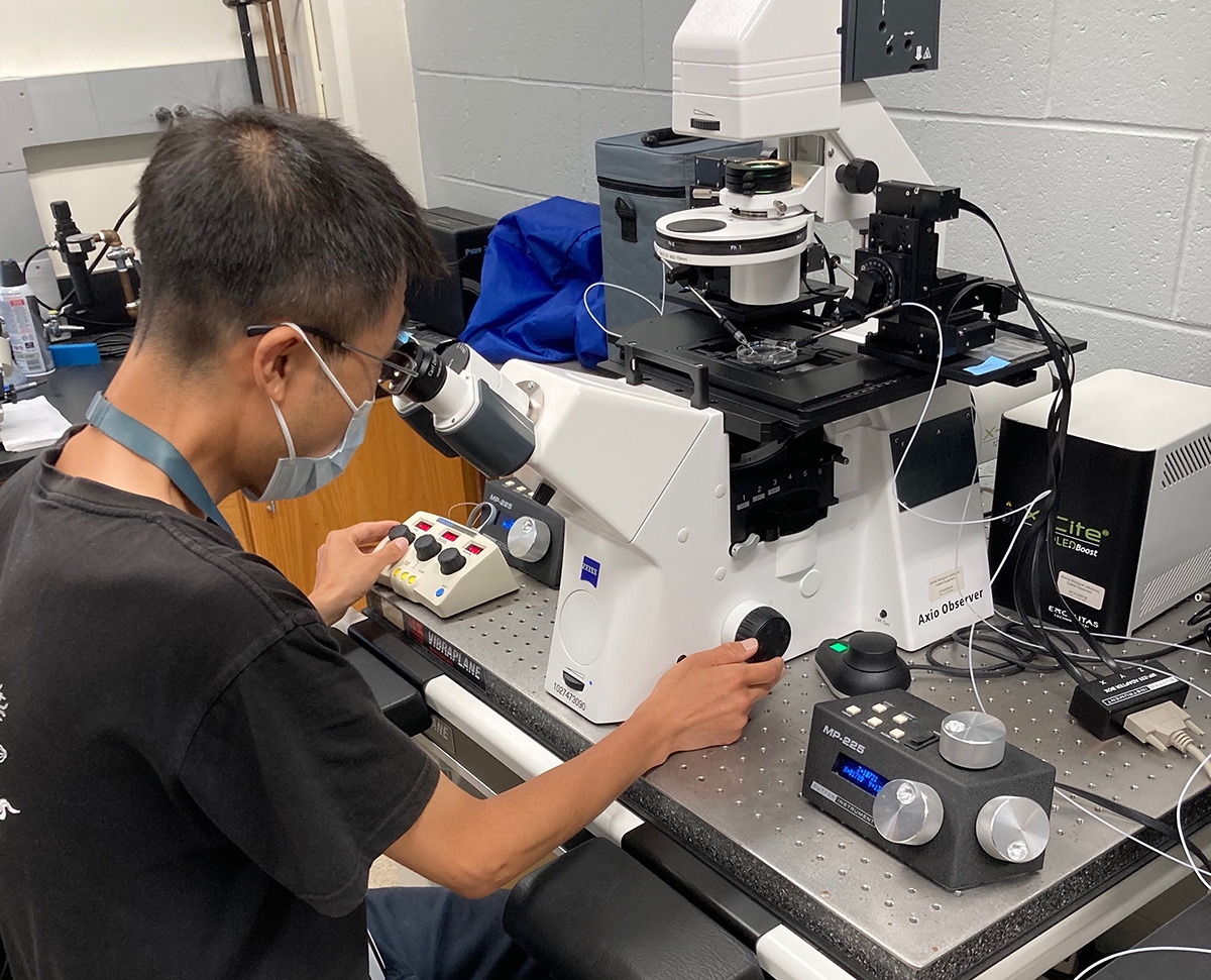 Postdoctoral scientist Hiayang Feng at the MBL’s gene editing facility.