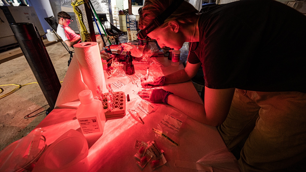 Preparing surface ocean samples using red light to not wake up microbes in night-time samples.