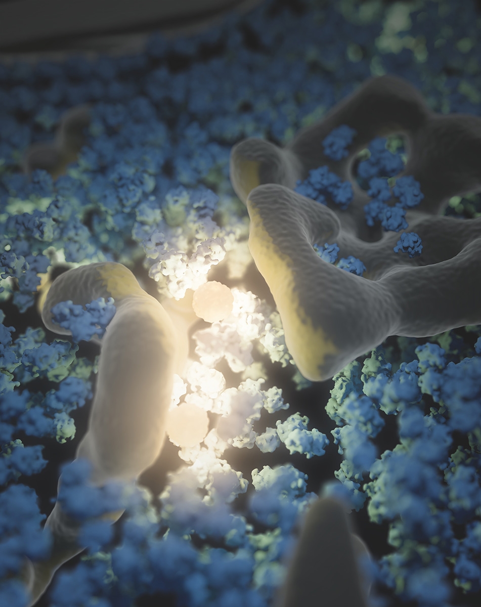 This illustration depicts a GEM (Genetically Encoded Multimeric particle) among a sea of ribosomes. The illustration is based on FIB-milling cryo-electron tomography data.