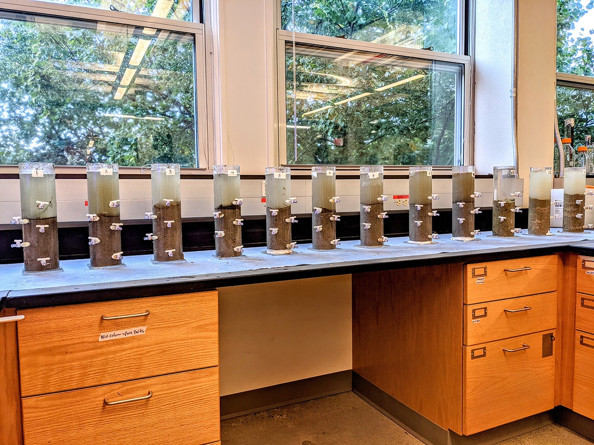 The students from the Microbial Methods course created Winogradsky Columns from the samples they took in Little Sippiwissett Marsh.