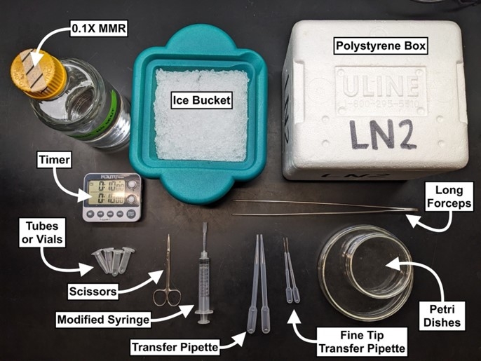 Images of instruments needed for protocols