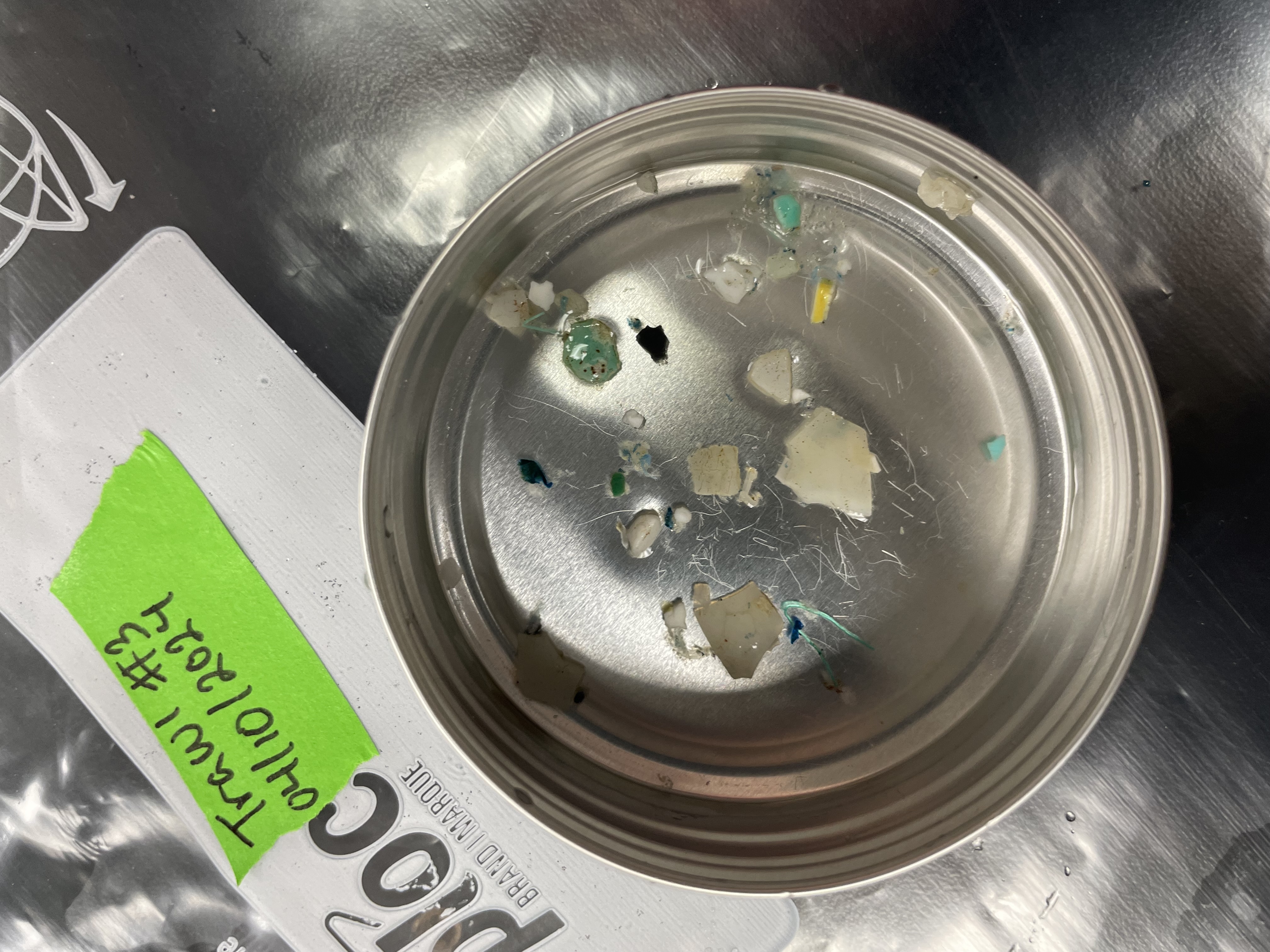 Microplastics collected using a Manta Trawl from the surface waters of the Sargasso Sea.