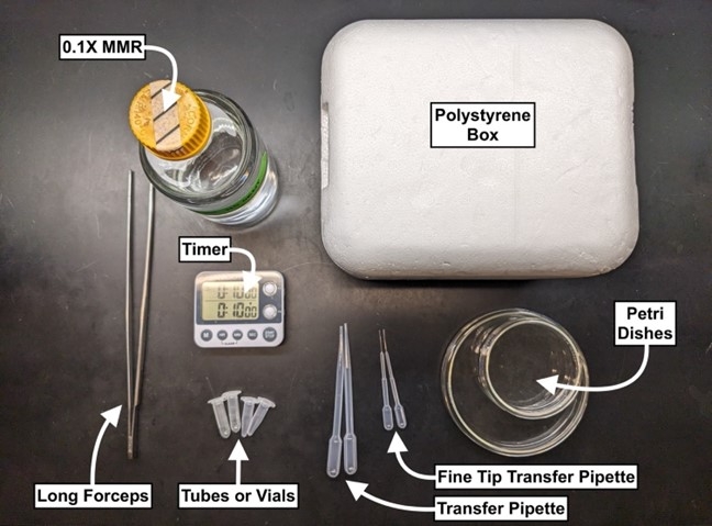 Images of instruments needed for protocols