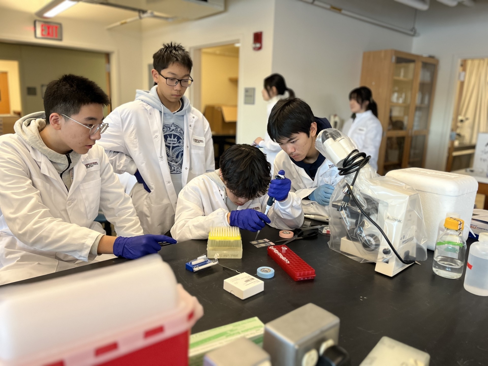 Students from WLSA Shanghai Academy prepare slides of viral particles to view under a microscope.