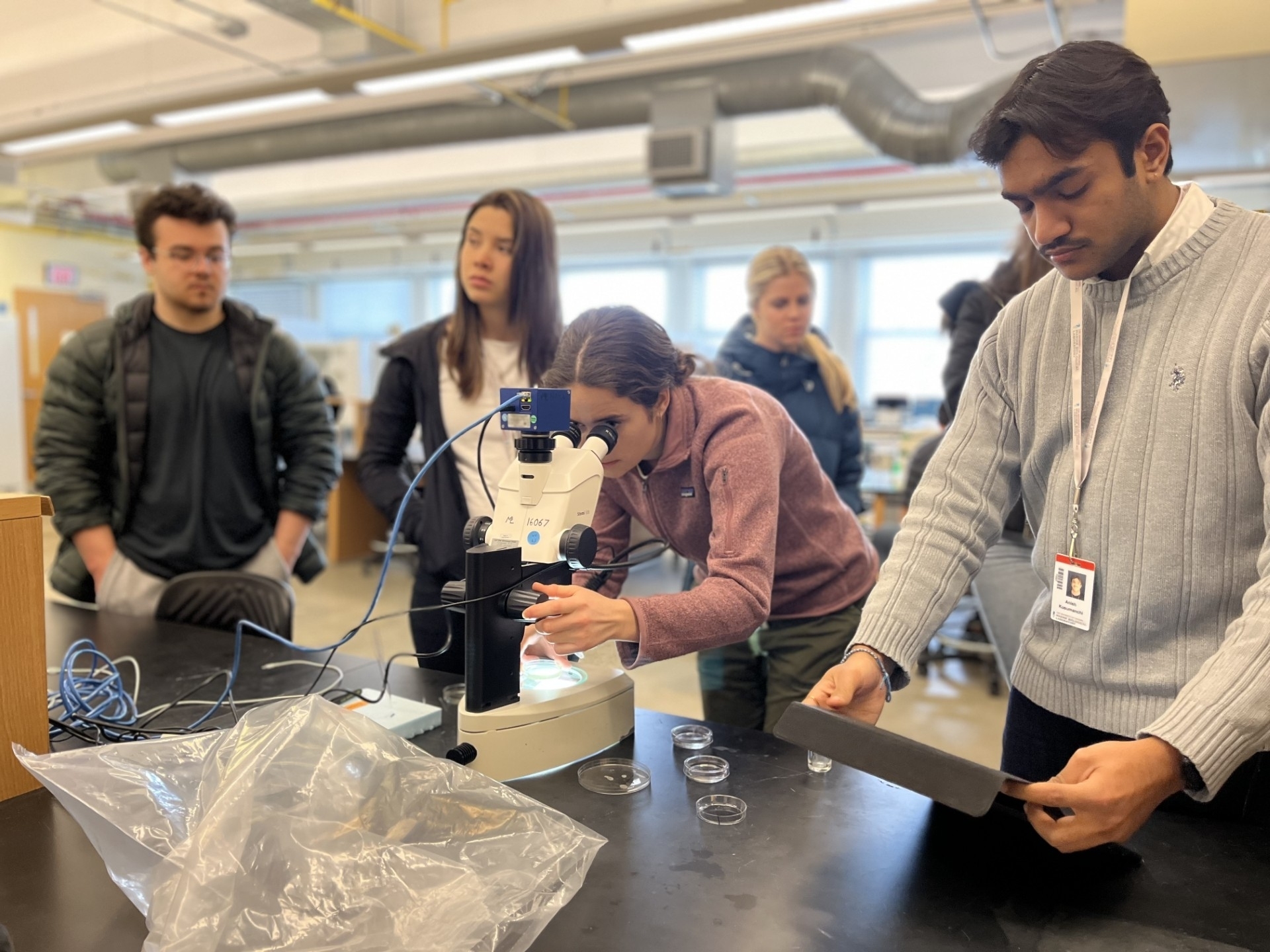 Colby College undergraduates gather around a microscope in Loeb Laboratory.