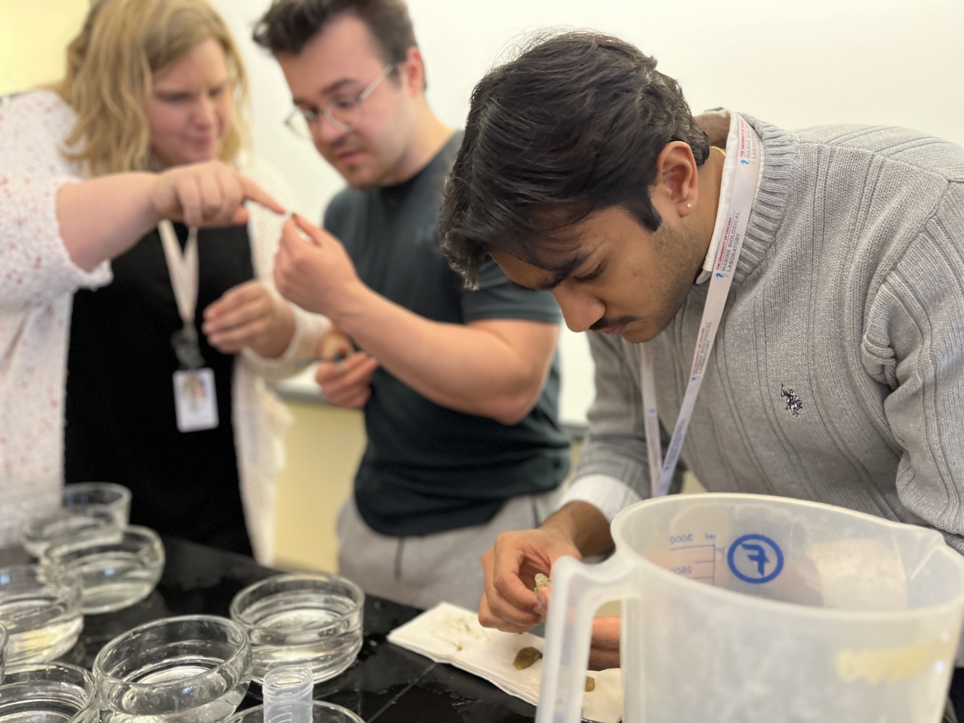 Colby College undergraduates handle the tunicate Ciona robusta under the guidance of assistant professor Christina Cota (left).