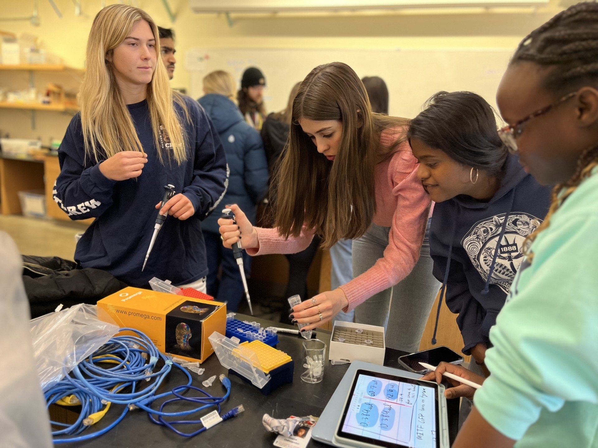 Colby College undergraduates prepare for CRISPR gene editing in the tunicate Ciona robusta