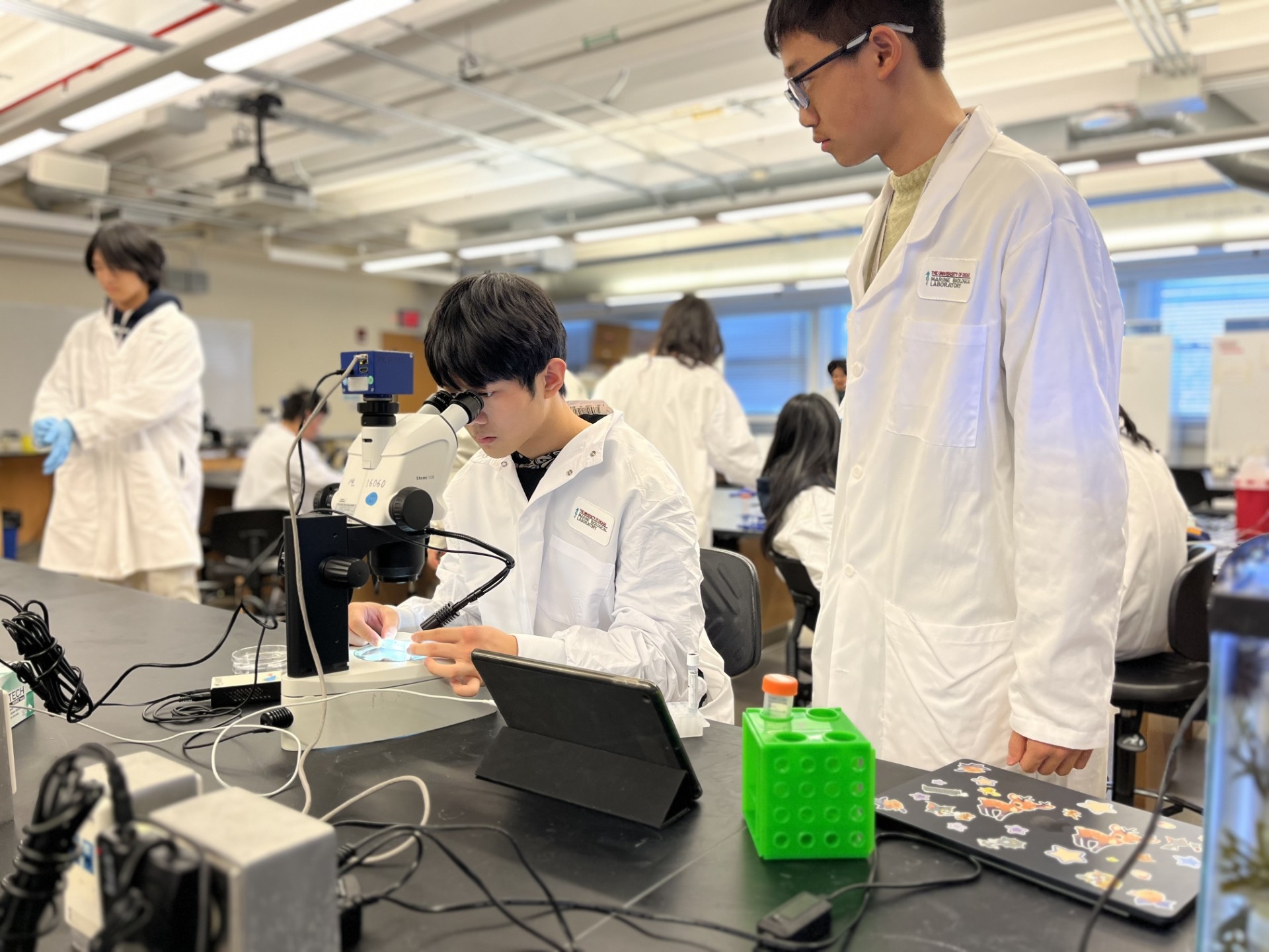 A student from Shanghai Star-River Bilingual School uses a microscope to view horseshoe crab hemolymph in Loeb Laboratory