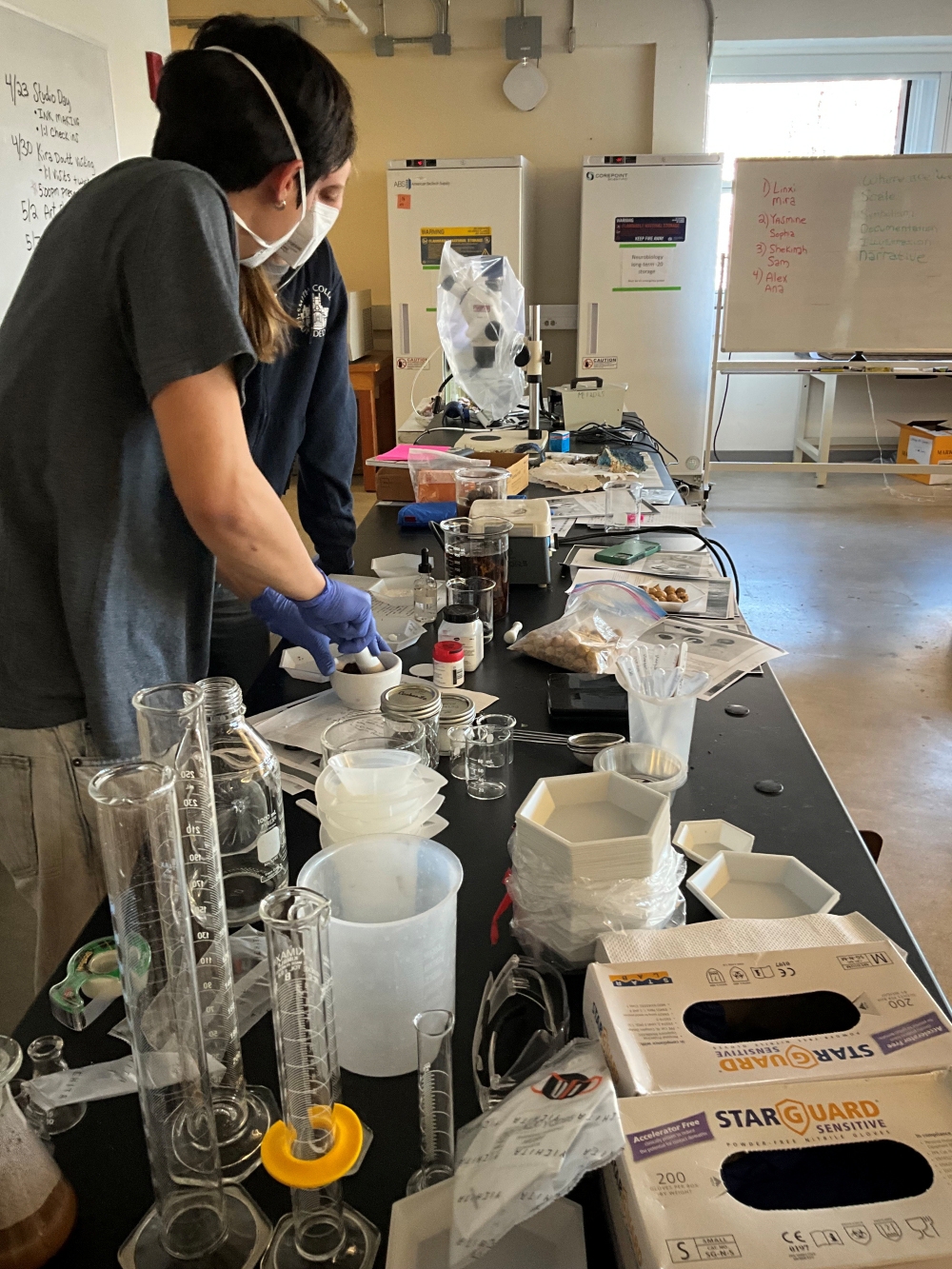 Two students wearing masks stand at a lab table. One is holding a mortar and pestle.