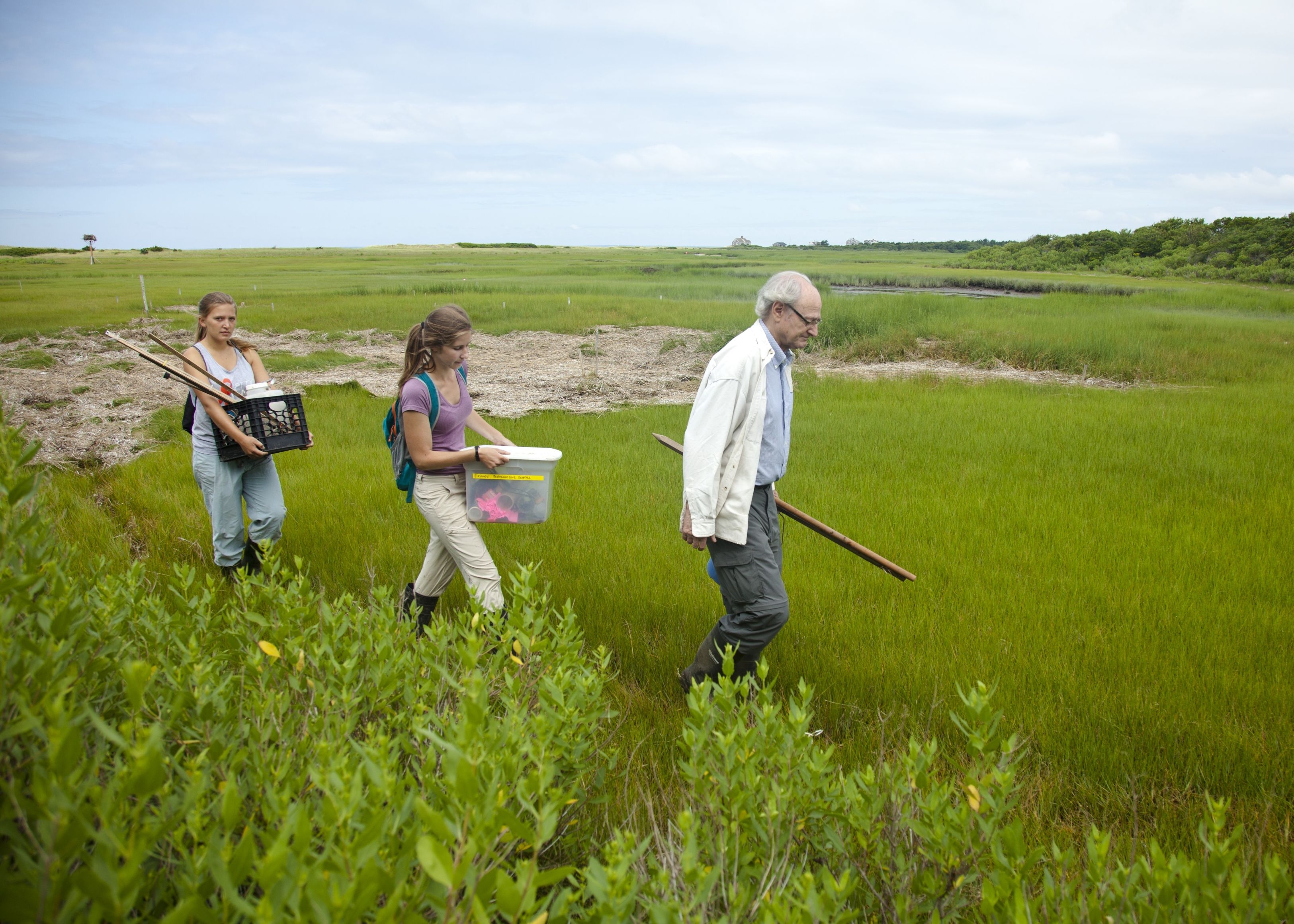 A man and two women walk through a salt marsh carrying scientific equipment