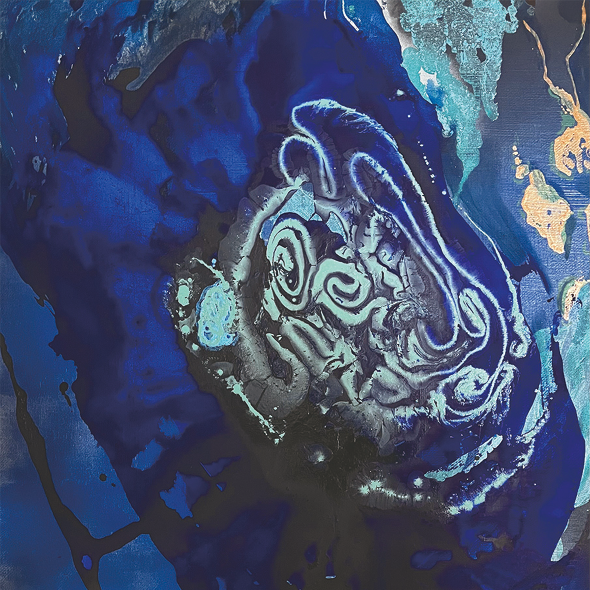 Plankton in our midst artwork