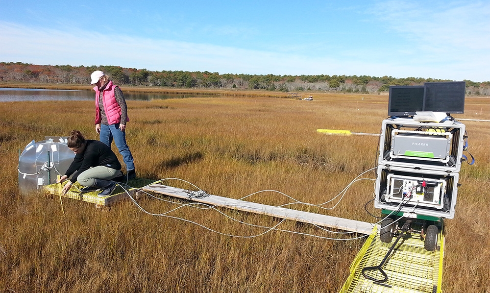 monitoring carbon flux