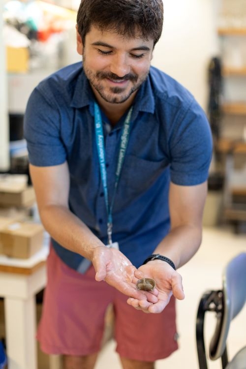Gui Gainett with a horseshoe crab