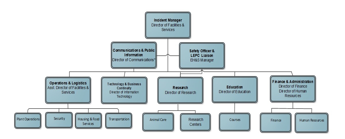 IMT Org chart