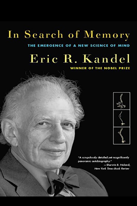In Search of Memory