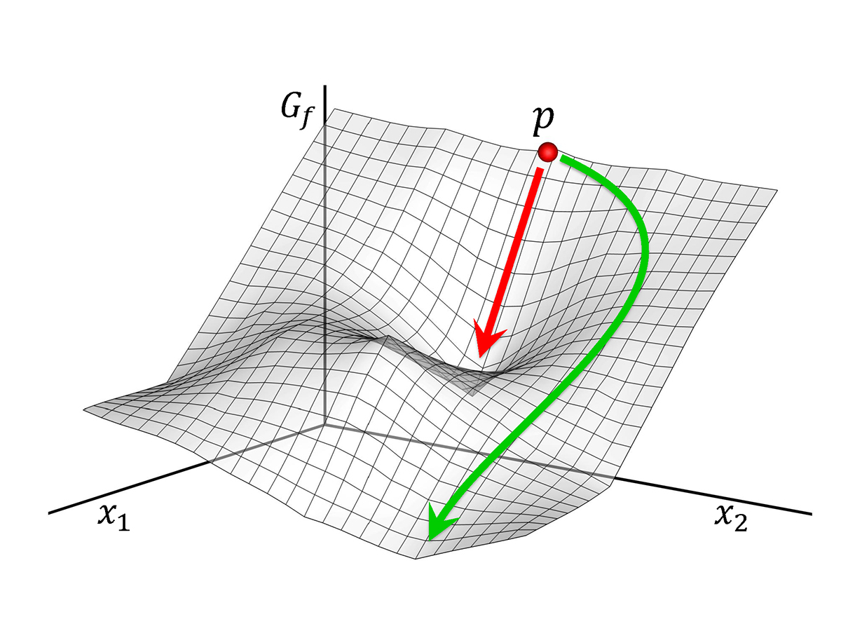 Non-living systems take the steepest descent trajectory in energy dissipation &nbsp;(red line), like a rock rolling down a hill, but they may not dissipate all available energy. Living systems, however, can find&nbsp;alternate paths toward equilibrium (green line) that dissipate more energy, but take longer to do so. These alternate paths are discovered by evolution, culled by natural selection, and stored in genomes, which allows living systems to outcompete non-living processes in certain situations. 