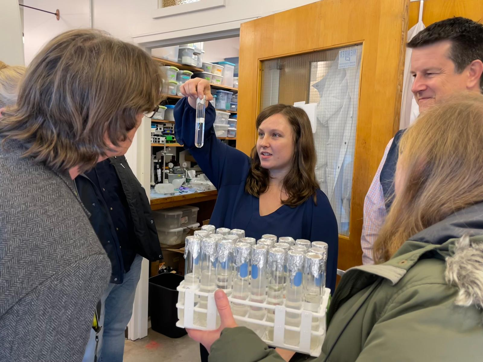 Researchers examine seagrass cultures 
