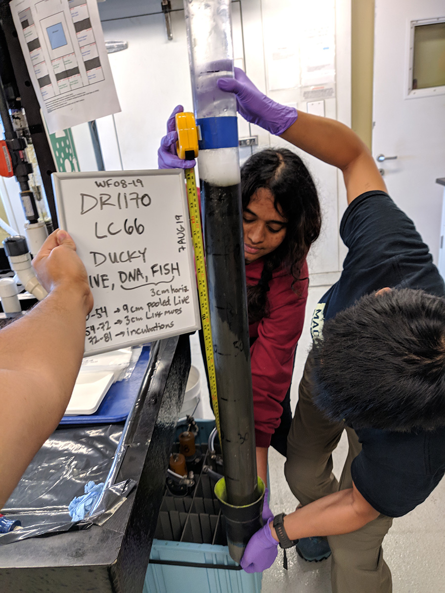 NASA grant co-investigator Ranjani Murali, center, and Sujung Lim characterize a sediment push core from a seafloor methane seep off the California coast.  