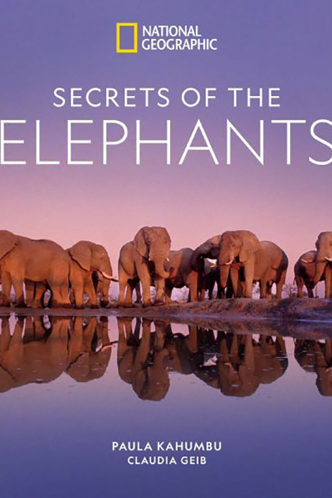 Secrets of the Elephants book cover