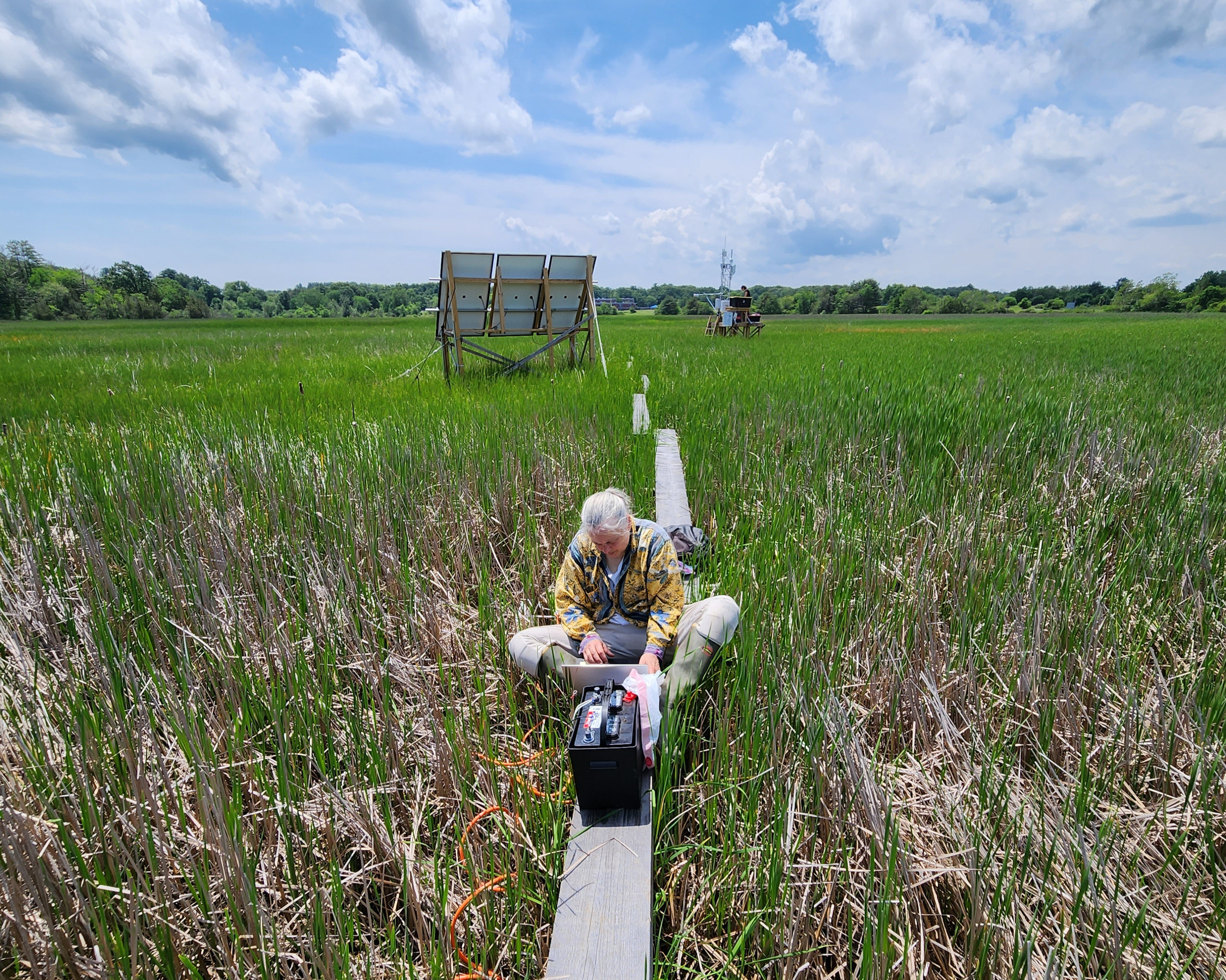 This photo shows a woman sitting down in a field.